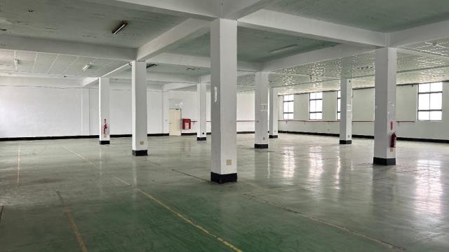 桃園廠房-2