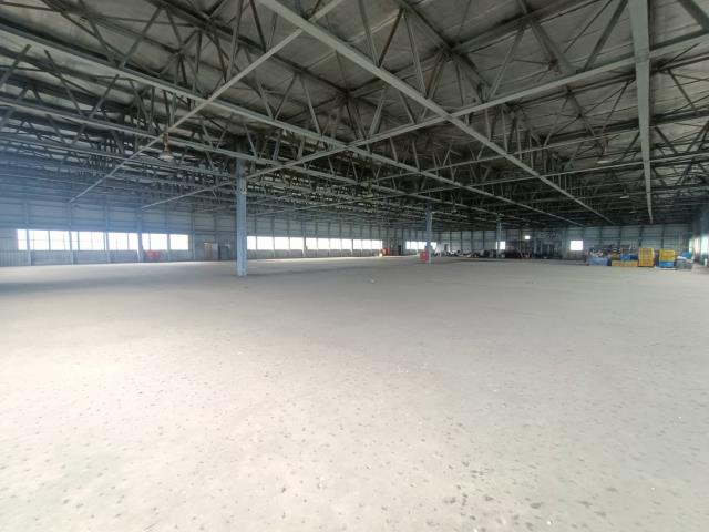 桃園龍潭廠房-2