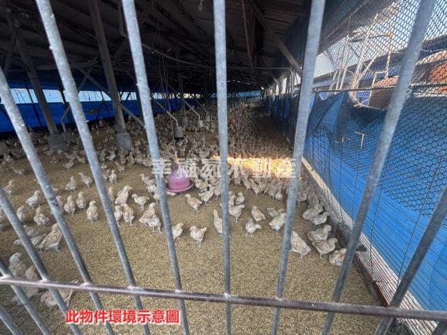 後壁畜牧設施雞舍-12