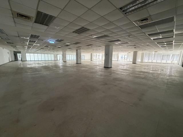 桃園中壢廠房-3