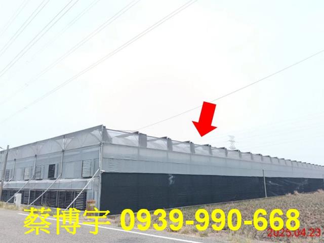 民雄虎尾寮法拍屋溫室