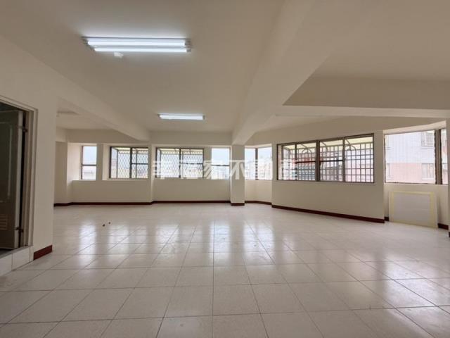 台南東區華廈-2