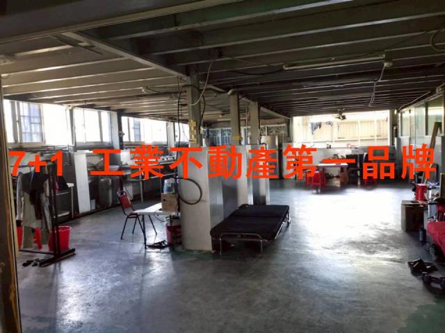 大樹農舍-3
