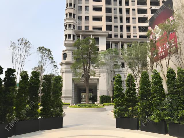 西屯法拍大樓-3