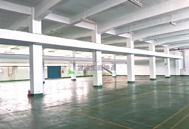 林口廠房-1