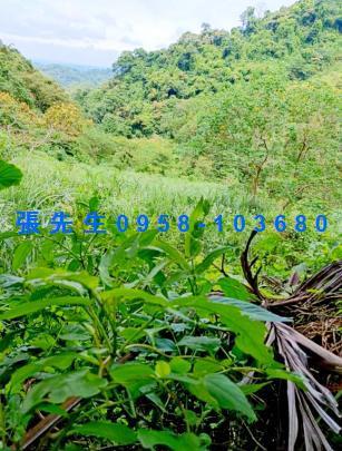 新竹透天拍賣-2