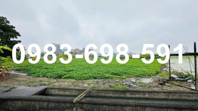 高雄大寮倉庫-1