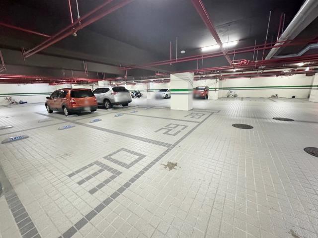 龍井華廈-14