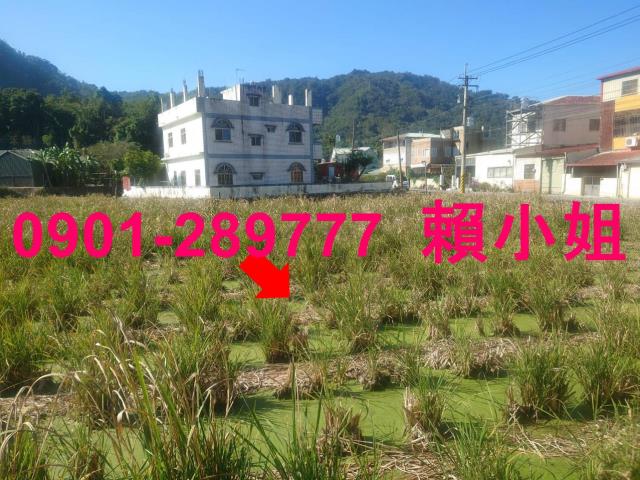 埔里法拍透天-9
