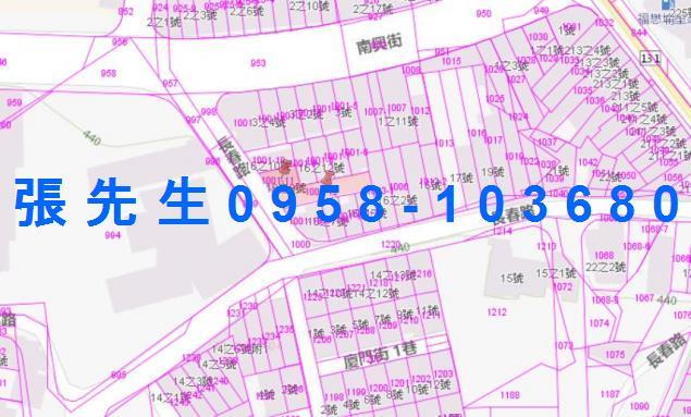 南投法拍透天-4