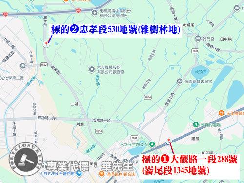 桃園法拍透天-2
