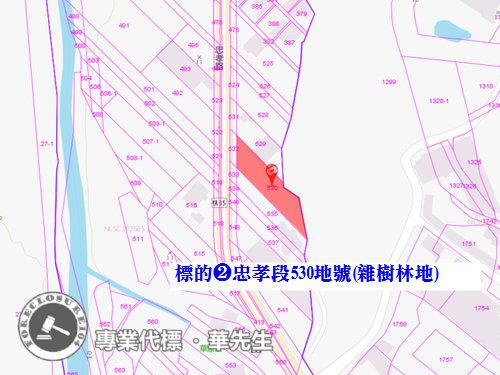 桃園法拍透天-11