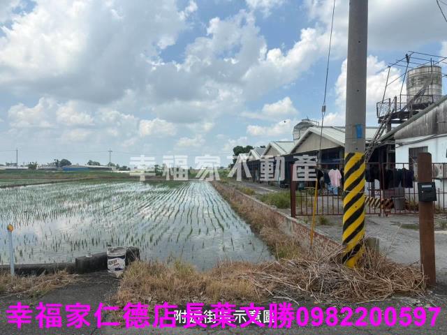 新營雞舍-7