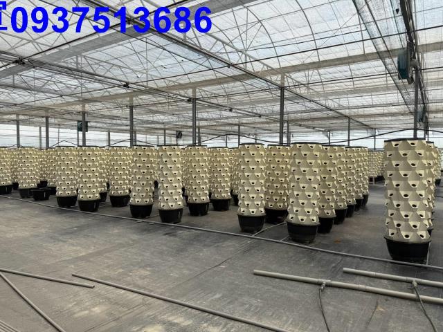 雲林二崙農業設施農糧室-4