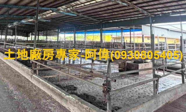 林園畜牧場-1
