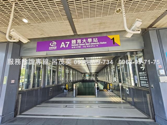 桃園大樓-3