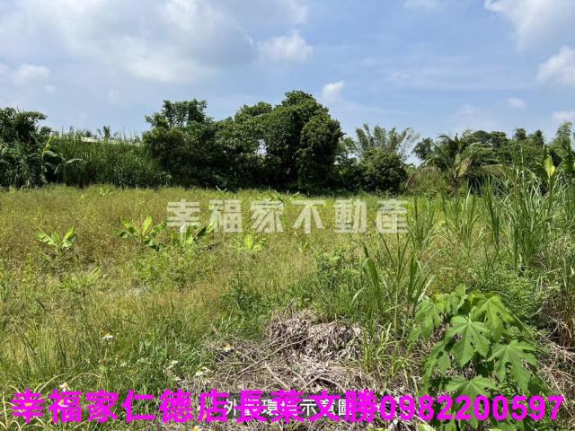 七股廠房-1