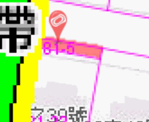 嘉義朴子法拍別墅-8