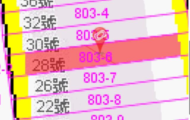 高雄燕巢法拍別墅-8