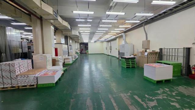 桃園八德廠房-3