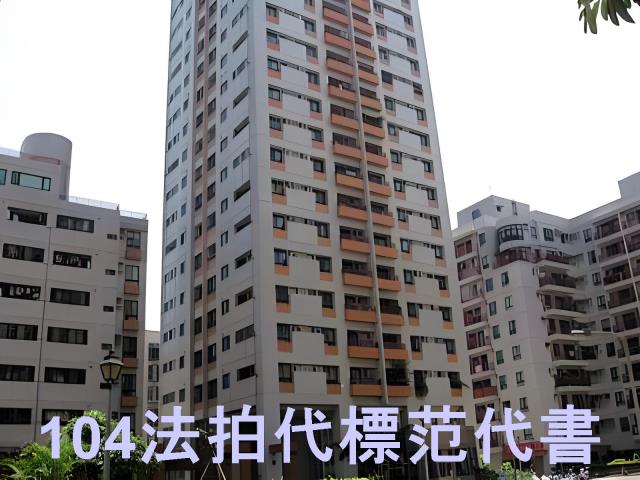 新店拍賣華廈-7
