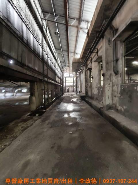 桃園平鎮廠房-6