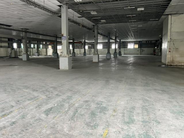 台南善化廠房-1