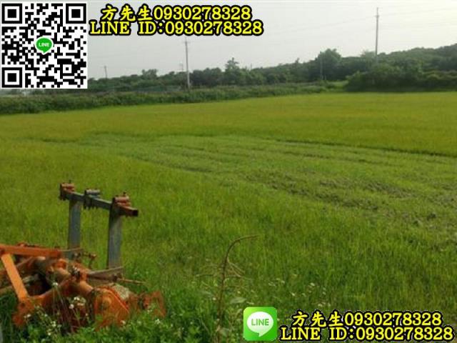 新化農地-8