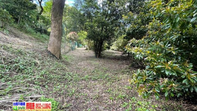 南庄農地-10
