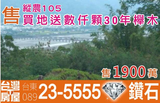 花蓮玉里農地-8