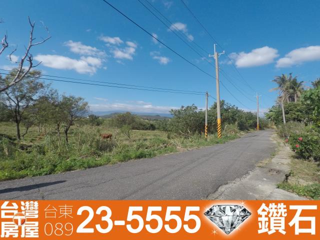 台東建地-11
