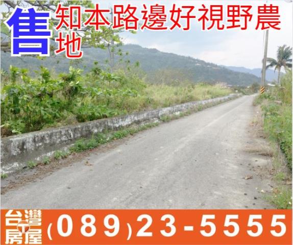 知本路邊好視野農地
