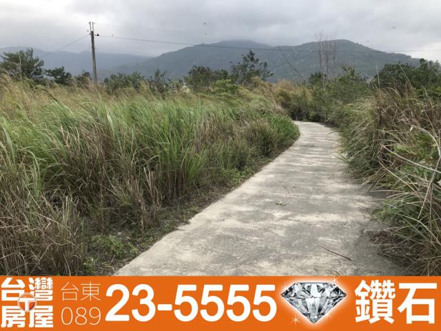 台東仲介公司