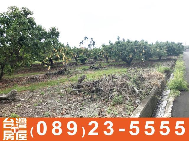 台東土地買賣