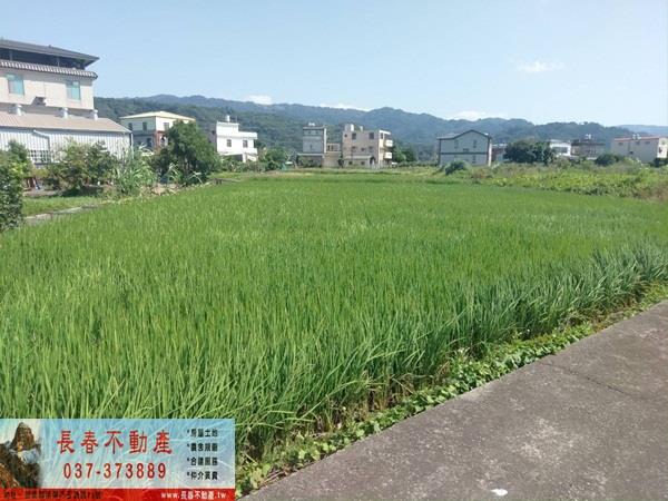 苗栗公館農地-1