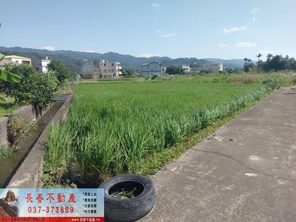 苗栗公館農地-2