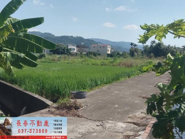 苗栗公館農地-3