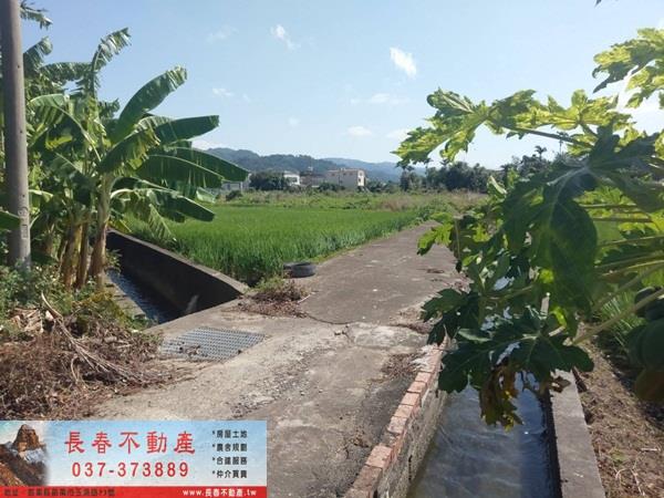苗栗公館農地-4