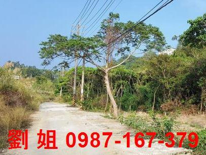 高雄仁武農地-1