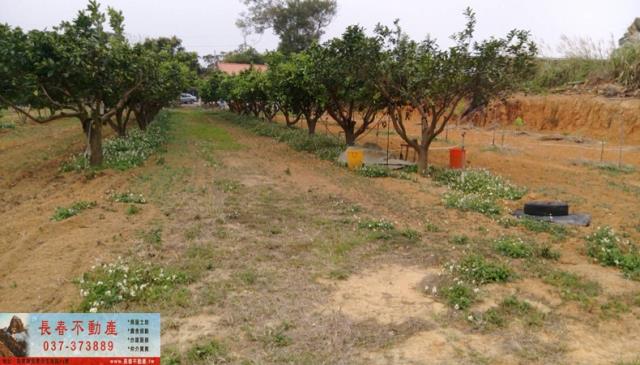 苗栗苗栗市農地-2