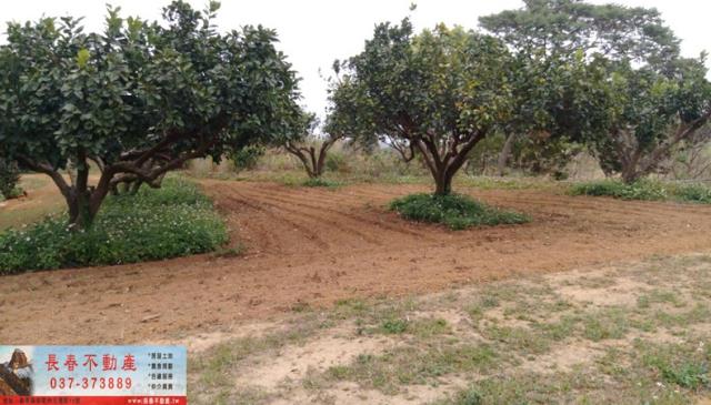 苗栗苗栗市農地-3