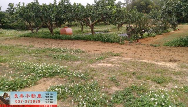 苗栗苗栗市農地-4