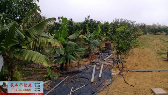 苗栗苗栗市農地-5