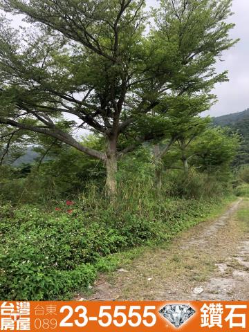 台東仲介公司