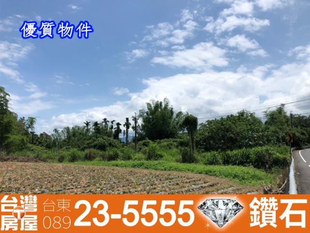 台東鹿野農地-12