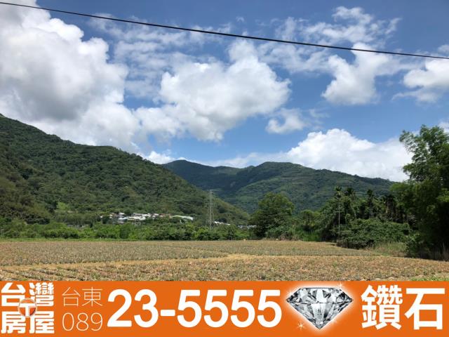 台東鹿野農地-8