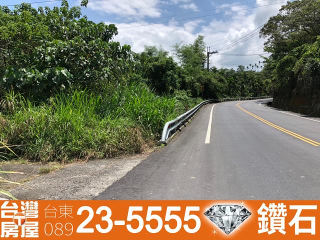 台東鹿野農地-9