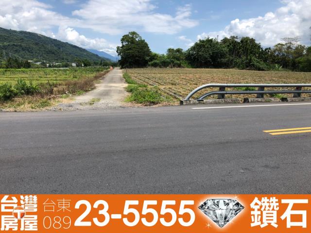 台東鹿野農地-11