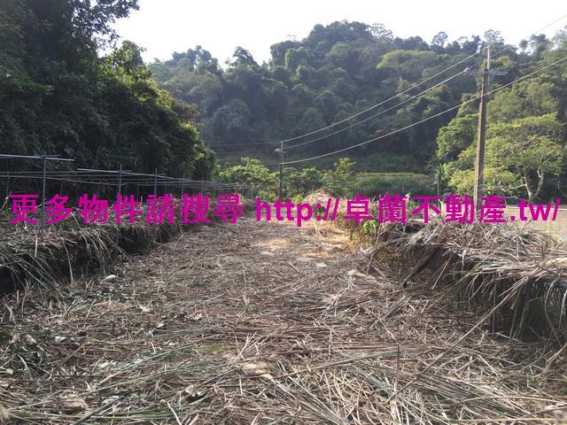 苗栗大湖農地-2