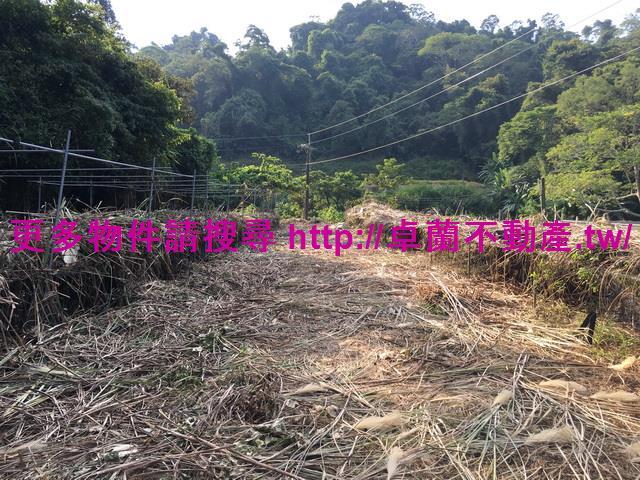 苗栗大湖農地-6